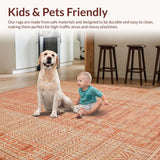 Ultra Soft Area Rug, Non Slip, Stain Resistant, Washable Area Rugs for Living Room, Bedroom, Elegant Soft Textured Tasseled Design(Orange)