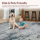 Ultra Soft Area Rug, Non Slip, Stain Resistant, Washable Area Rugs for Living Room, Bedroom, Rustic Grey Distressed Medallion(Gray)