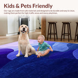 Ultra Soft Area Rug, Non Slip, Stain Resistant, Washable Area Rugs for Living Room, Bedroom, Elegant Gradient Color Fusion(Purple)