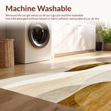 Ultra Soft Area Rug, Non Slip, Stain Resistant, Washable Area Rugs for Living Room, Bedroom, Elegant Beige & Brown Swirl Line Area(Beige)