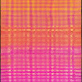 Ultra Soft Area Rug, Non Slip, Stain Resistant, Washable Area Rugs for Living Room, Bedroom, Cute Get Naked Pink Shower Rug Soft and Non Slip(Orange)