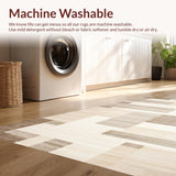 Ultra Soft Area Rug, Non Slip, Stain Resistant, Washable Area Rugs for Living Room, Bedroom, Vibrant Earthy Abstract Composition(Beige)