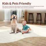Ultra Soft Area Rug, Non Slip, Stain Resistant, Washable Area Rugs for Living Room, Bedroom, Elegant Beige Cream with Swirling Abstract Design(Beige)