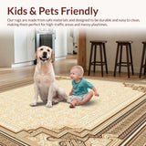 Ultra Soft Area Rug, Non Slip, Stain Resistant, Washable Area Rugs for Living Room, Bedroom, Scandinavian Boho Area(Beige)