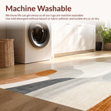 Ultra Soft Area Rug, Non Slip, Stain Resistant, Washable Area Rugs for Living Room, Bedroom, Neutral Accent(Beige)
