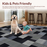 Ultra Soft Area Rug, Non Slip, Stain Resistant, Washable Area Rugs for Living Room, Bedroom, Minimalist Grey Square Concept(Black)