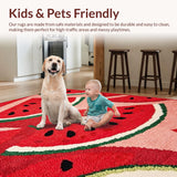 Ultra Soft Area Rug, Non Slip, Stain Resistant, Washable Area Rugs for Living Room, Bedroom, Vibrant Tropical Fruit Illustration(Red)