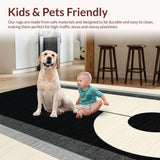 Ultra Soft Area Rug, Non Slip, Stain Resistant, Washable Area Rugs for Living Room, Bedroom, Chic Dual-Tone Shaggy Design(Black)