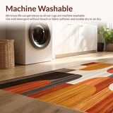 Ultra Soft Area Rug, Non Slip, Stain Resistant, Washable Area Rugs for Living Room, Bedroom, Boho Style Beige Non Shedding Slip Low Pile Modern(Brown)
