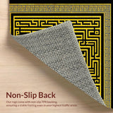 Ultra Soft Area Rug, Non Slip, Stain Resistant, Washable Area Rugs for Living Room, Bedroom, Greek Key Shower Curtain Modern Home Decor(Black)