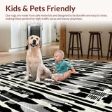 Ultra Soft Area Rug, Non Slip, Stain Resistant, Washable Area Rugs for Living Room, Bedroom, Zebra Stripe Woven Rug, Graphic Floor Art, Ebony and Ivory Accent Carpet(Black)