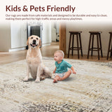 Ultra Soft Area Rug, Non Slip, Stain Resistant, Washable Area Rugs for Living Room, Bedroom, Stylish Area with Distressed Vintage Beige(Beige)