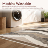 Ultra Soft Area Rug, Non Slip, Stain Resistant, Washable Area Rugs for Living Room, Bedroom, Trendy Warm Tones Weave(Beige)
