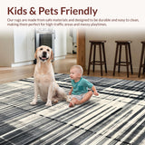 Ultra Soft Area Rug, Non Slip, Stain Resistant, Washable Area Rugs for Living Room, Bedroom, Elegant Contrasting Stripe Pattern Rug Washable Holiday Welcome Decor(Gray)