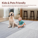 Ultra Soft Area Rug, Non Slip, Stain Resistant, Washable Area Rugs for Living Room, Bedroom, Simple Textured Modern Appeal(Gray)