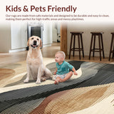 Ultra Soft Area Rug, Non Slip, Stain Resistant, Washable Area Rugs for Living Room, Bedroom, Rustic Earthy Abstract Motif(Beige)