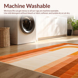 Ultra Soft Area Rug, Non Slip, Stain Resistant, Washable Area Rugs for Living Room, Bedroom, Cozy Twisted Rainbow Design(Brown)