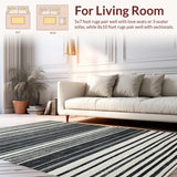 Ultra Soft Area Rug, Non Slip, Stain Resistant, Washable Area Rugs for Living Room, Bedroom, Scandinavian Minimalist Rug With Graphic Linear Design(Black)