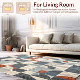 Ultra Soft Area Rug, Non Slip, Stain Resistant, Washable Area Rugs for Living Room, Bedroom, Vintage Non Slip Abstract Print Area(Gray)