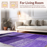 Ultra Soft Area Rug, Non Slip, Stain Resistant, Washable Area Rugs for Living Room, Bedroom, Cozy Plush Textured Accent Piece(Purple)
