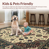 Ultra Soft Area Rug, Non Slip, Stain Resistant, Washable Area Rugs for Living Room, Bedroom, Rustic Earthy Tones Medallion Motif(Beige)