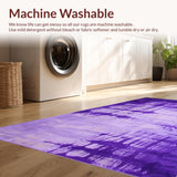 Ultra Soft Area Rug, Non Slip, Stain Resistant, Washable Area Rugs for Living Room, Bedroom, Charming Whimsical Color Burst(Purple)
