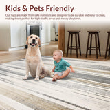 Ultra Soft Area Rug, Non Slip, Stain Resistant, Washable Area Rugs for Living Room, Bedroom, Indoor Entrance Non Slip Small Door Mat(Gray)