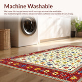 Ultra Soft Area Rug, Non Slip, Stain Resistant, Washable Area Rugs for Living Room, Bedroom, Eclectic Bright Abstract Design(Red)
