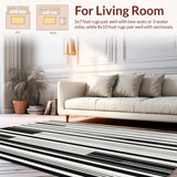 Ultra Soft Area Rug, Non Slip, Stain Resistant, Washable Area Rugs for Living Room, Bedroom, Monochrome Stripe Cascade Rug Featuring Sleek Graphic Line Motif(Black)