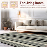 Ultra Soft Area Rug, Non Slip, Stain Resistant, Washable Area Rugs for Living Room, Bedroom, Rustic Minimalist Geometric Lines(Beige)