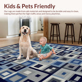 Ultra Soft Area Rug, Non Slip, Stain Resistant, Washable Area Rugs for Living Room, Bedroom, Sleek Abstract Blue Pattern(Gray)