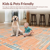 Ultra Soft Area Rug, Non Slip, Stain Resistant, Washable Area Rugs for Living Room, Bedroom, Whispering Dunes: Modern Printed Area Rug, Peach/Blue(Orange)