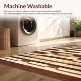 Ultra Soft Area Rug, Non Slip, Stain Resistant, Washable Area Rugs for Living Room, Bedroom, Stylish Retro Lattice Arrangement(Beige)