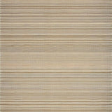 Ultra Soft Area Rug, Non Slip, Stain Resistant, Washable Area Rugs for Living Room, Bedroom, Modern Cozy Tanned Decor(Beige)