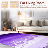 Ultra Soft Area Rug, Non Slip, Stain Resistant, Washable Area Rugs for Living Room, Bedroom, Eclectic Soft Ombre Effect(Purple)