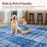 Ultra Soft Area Rug, Non Slip, Stain Resistant, Washable Area Rugs for Living Room, Bedroom, Charming Ribbon Tie Decorative Rug Preppy Home Accent Cute Girly Carpet(Blue)