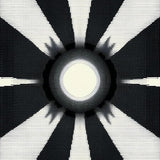 Bold Graphic Contrast in Neutral Tones(Black)