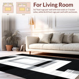 Ultra Soft Area Rug, Non Slip, Stain Resistant, Washable Area Rugs for Living Room, Bedroom, Dynamic Abstract Symmetrical Design(Black)