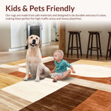 Ultra Soft Area Rug, Non Slip, Stain Resistant, Washable Area Rugs for Living Room, Bedroom, Modern Abstract Area With Earthy Tones And Geometric Contours(Brown)