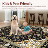 Ultra Soft Area Rug, Non Slip, Stain Resistant, Washable Area Rugs for Living Room, Bedroom, Luxurious Earth Tone Ornate Patterns(Black)