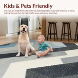 Ultra Soft Area Rug, Non Slip, Stain Resistant, Washable Area Rugs for Living Room, Bedroom, Luxurious Soft Cloud-Like Surface(Gray)