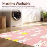 Ultra Soft Area Rug, Non Slip, Stain Resistant, Washable Area Rugs for Living Room, Bedroom, Elegant Greenery and Egg Design(Pink)