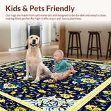 Ultra Soft Area Rug, Non Slip, Stain Resistant, Washable Area Rugs for Living Room, Bedroom, Bathroom Waterproof(Blue)