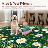 Textured Daisy Arrangement(Green)