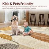 Ultra Soft Area Rug, Non Slip, Stain Resistant, Washable Area Rugs for Living Room, Bedroom, Textured Tufted Boho Chic Area with Neutral Earth Tones(Beige)