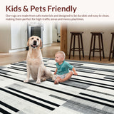 Ultra Soft Area Rug, Non Slip, Stain Resistant, Washable Area Rugs for Living Room, Bedroom, Chic Black And White Stripe Rug: Modern Front Door Welcome Mat(Gray)
