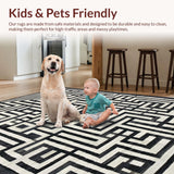Ultra Soft Area Rug, Non Slip, Stain Resistant, Washable Area Rugs for Living Room, Bedroom, Monochromatic Maze: Modern Black And White Striped Rug(Black)