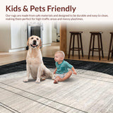 Ultra Soft Area Rug, Non Slip, Stain Resistant, Washable Area Rugs for Living Room, Bedroom, Mono Stripe Rug with Dynamic Parallel Lines and Abstract Pattern(Gray)