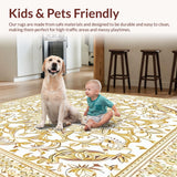 Ultra Soft Area Rug, Non Slip, Stain Resistant, Washable Area Rugs for Living Room, Bedroom, & Non Shedding Ivory Beige(White)