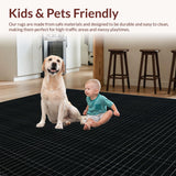Ultra Soft Area Rug, Non Slip, Stain Resistant, Washable Area Rugs for Living Room, Bedroom, Luxe Cozy Shaggy Aesthetic(Black)